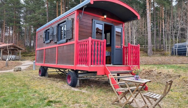 Nature-friendly caravan, pets allowed - 3 guests