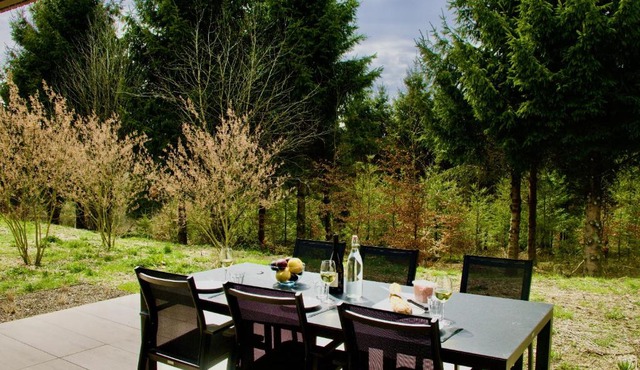 Nature Lake Village – Villa Greenly n°21 – 4 personnes avec jacuzzi