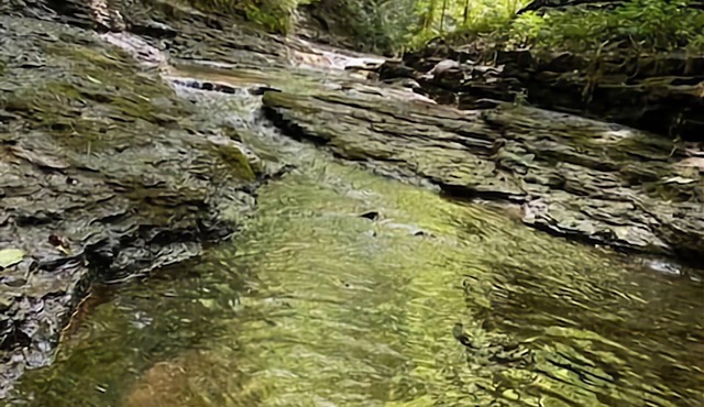 Nature Lovers Paradise- Rustic Cabin on 2 acres with a creek!