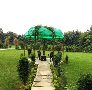 Nature Resort