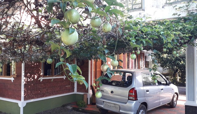 Nature stay in a serene, peaceful village ambience with uncompromised Luxury