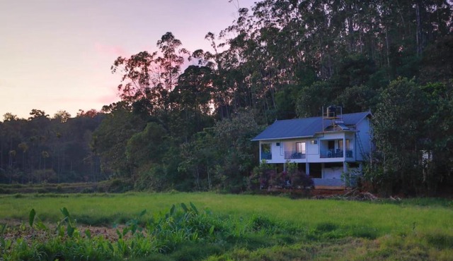Nature Villa Munnar