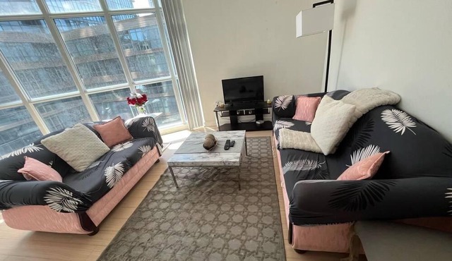 Neat Open Concept Downtown Toronto Condo