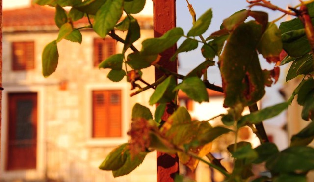 Nebojsega b&b