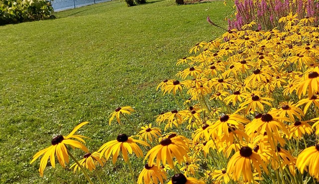 Neckar idyll with castle view in an upscale apartment and covered terrace
