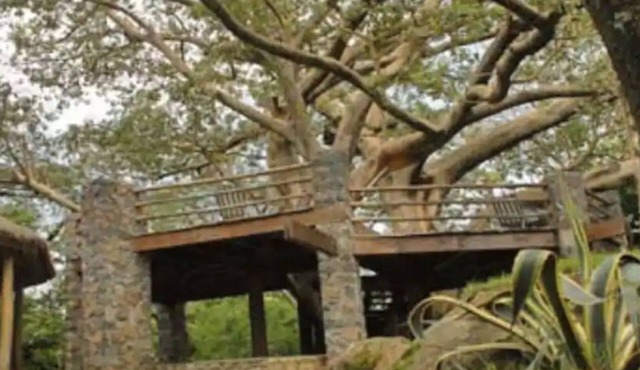 Negash Resort