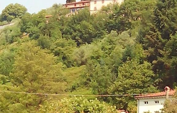 Nel Colle