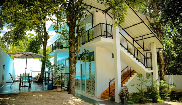 Nelinsa Kandy