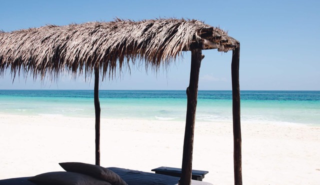 Nest Tulum