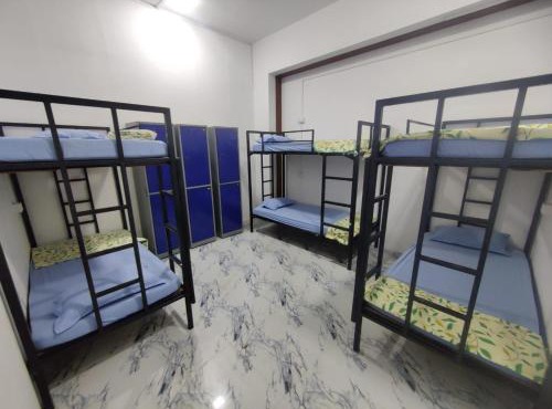NestIQ Hostel