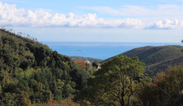 Nestled in a centuries-old forest on the first hill 15 minutes from the sea