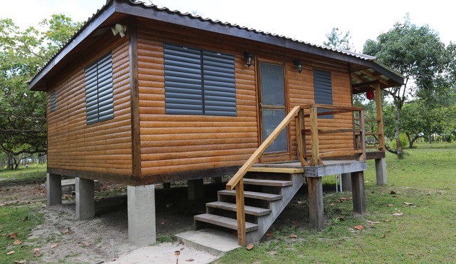 Nestled in the heart of the rainforest, Casa Stevens offers a unique stay