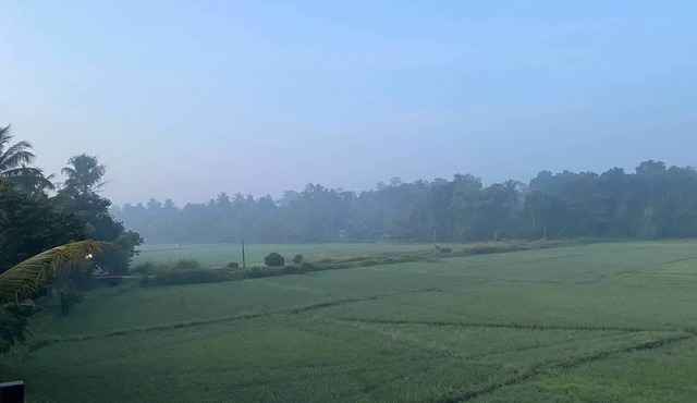 Nestled into a quiet comfy paradise! Just 12km from Katunayake Intl. Airport.