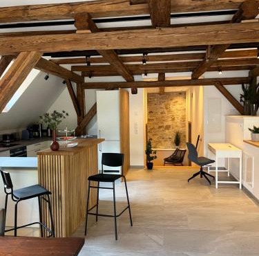 Neu - Wenkheimer Hof Scheunen-Loft