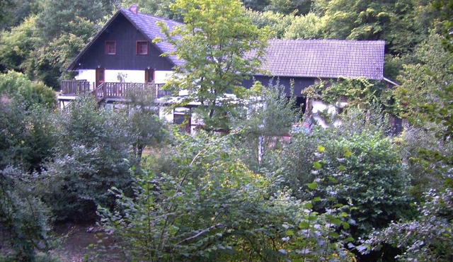 Neumühle