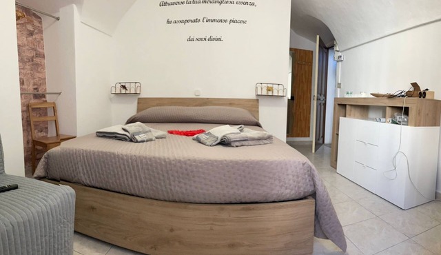 New and bright apartment 100 meters from the central square, castle view