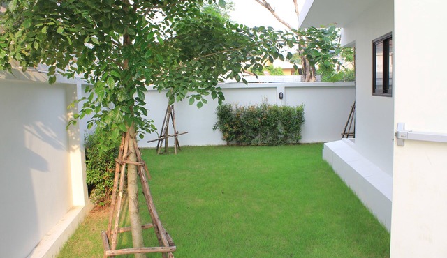 New and Modern Studio 24-1