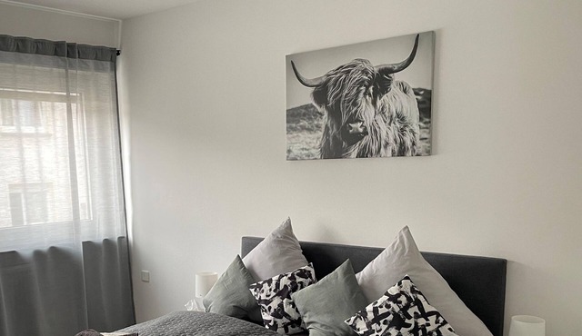New apartment in the Palatinate Forest, near Dynamikum and Outletcenter Zweibrücken