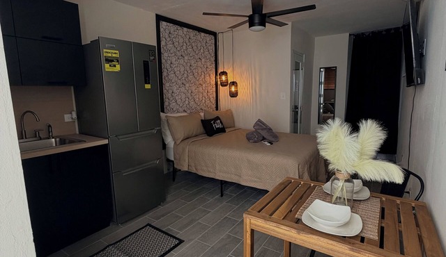 NEW BOHO efficiency-8min. SJ Airport/Parking/Patio