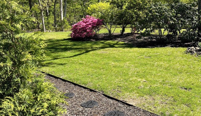 New Charming 3-bed two bath house w pool AC and WIFI in marvelous Hampton Bays.