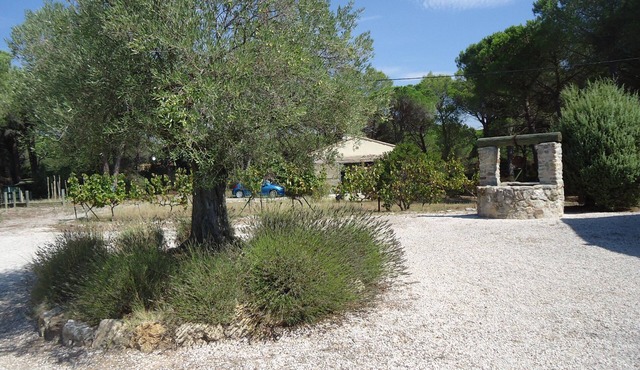 New comfortable house, air conditioned located in pine forest, semi private pool