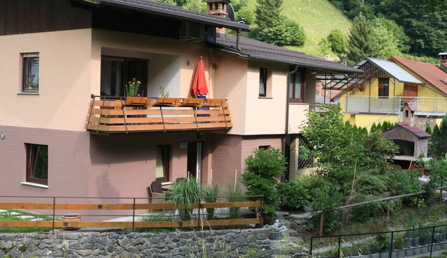 New cute apartment in green surroundings