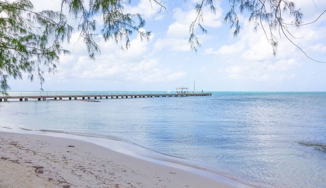 New listing! 1 Bed/1 Bath Ocean View condo next to Rum Point. Ground floor.