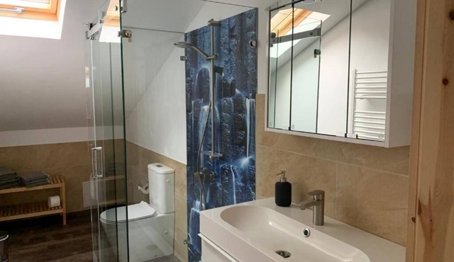 New modern apartment in the cultural monument Schweizerhaus in alpine style