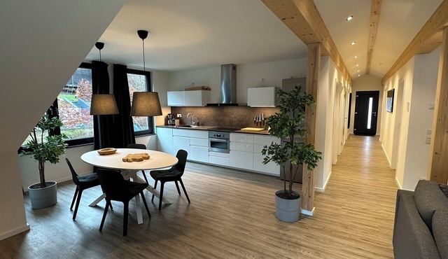NEW - Penthouse Brachfeld - Eifel National Park, Hellenthal, view, center
