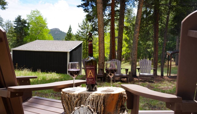 NEW! Private Mountain home in Conifer: Hot tub, game room, pets. Near Red Rocks!