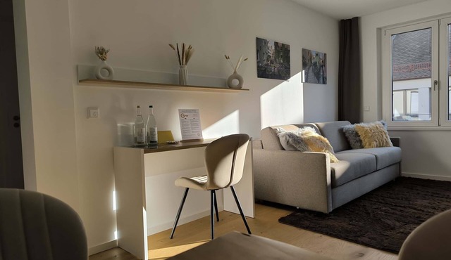 New spacious luxury apartment at Rathausplatz