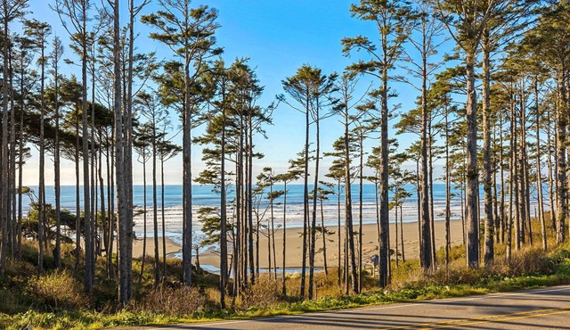 *NEW* The Hermit: Private Hot Tub, Dog Friendly!