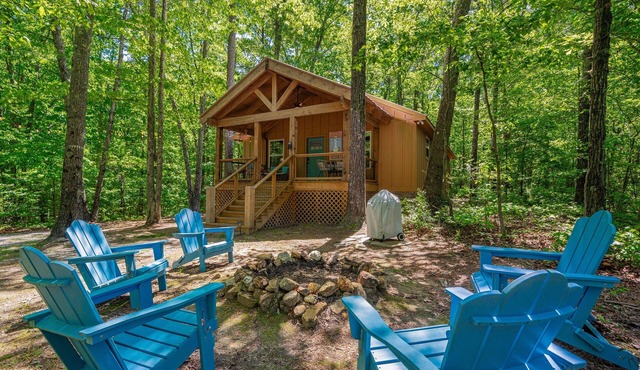 NEW! Time Falls Cabin | 2 King BR | 2.5 BA | 2 Porches | Fire Pit | Fast WiFi