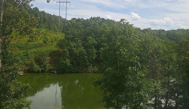 New to the Market-MY HAPPY PLACE- Spacious 2 bd/2ba home with dock