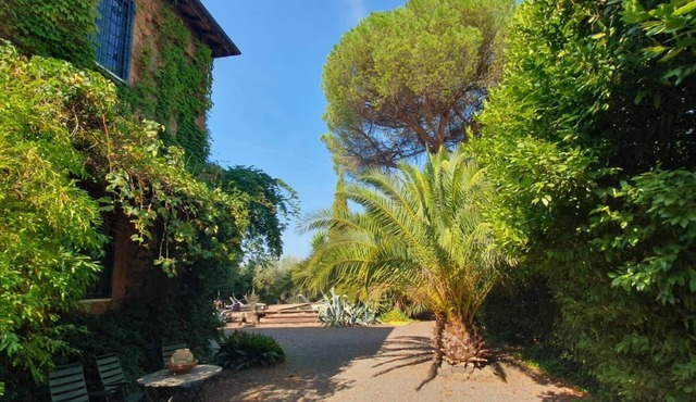 New! Villa Ceasar- unique vacation oasis, just 20 minutes from the Colosseum!