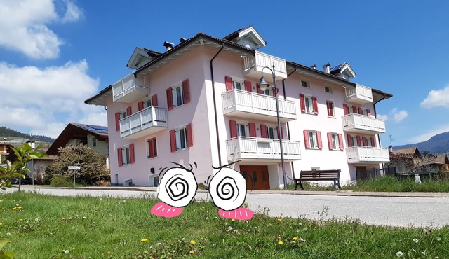 New Year vacation groups in Trentino Alto Adige