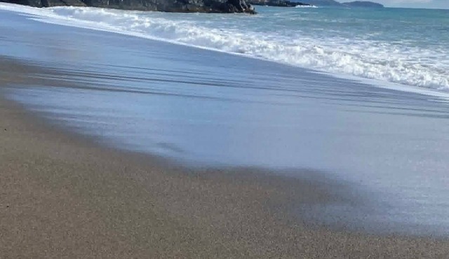 Newfoundland’s Quiet Coast Calls