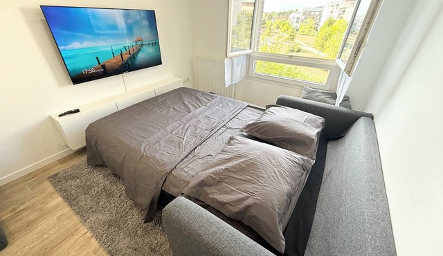 Newly refurbished 2-room apartment Parking, Wifi, washing machine and dryer.