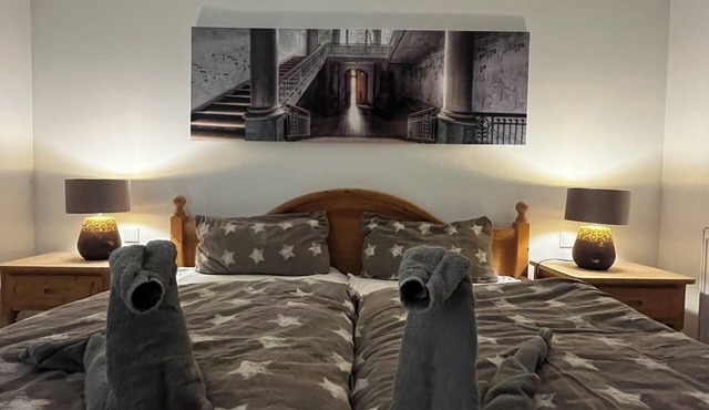 Newly renovated basement apartment