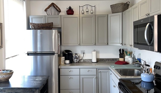Newly renovated spacious apartment overlooking Greene NY