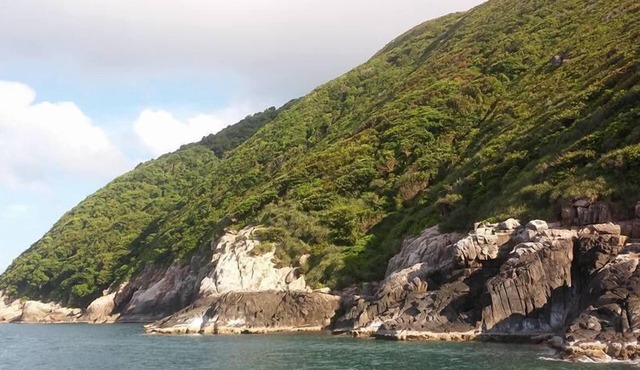 Nha Khach Con Dao