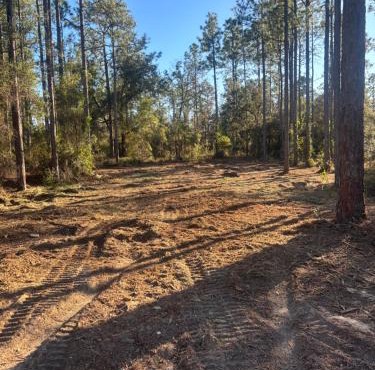 Nice 4,000 sqft vacant lot perfect for camping or weekend get away will need to bring your own tent or camper
