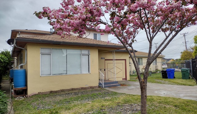 Nice 4br/3bath house unit walk to Del Norte BART