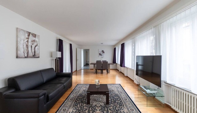 Nice and big 1 BR flat city center/near lake (D8)