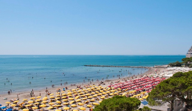 Nice and Cozy Flat at Grado Pineta