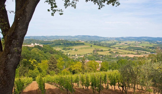 Nice apartment in Castel San Gimignano