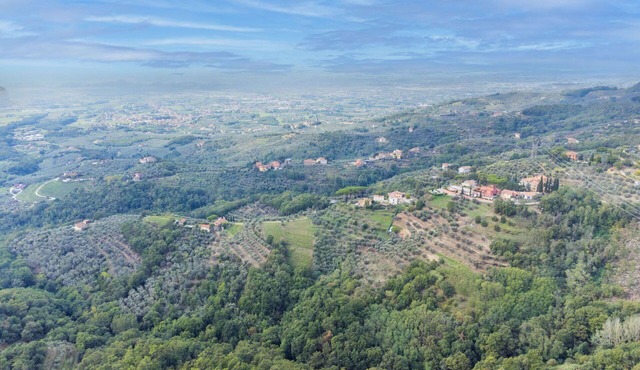 Nice apartment for 3 guests with WIFI, pool, balcony, pets allowed and panoramic view