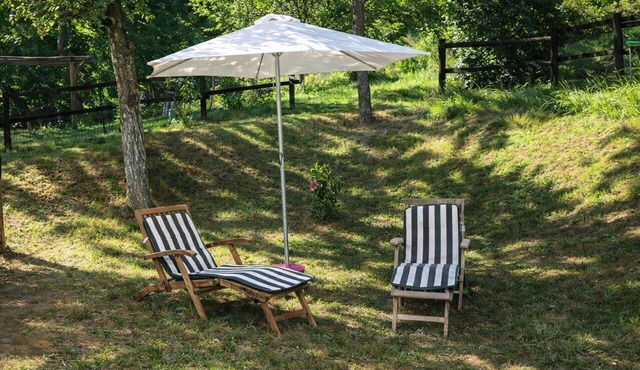 Nice apartment for 3 people with WIFI and pets allowed