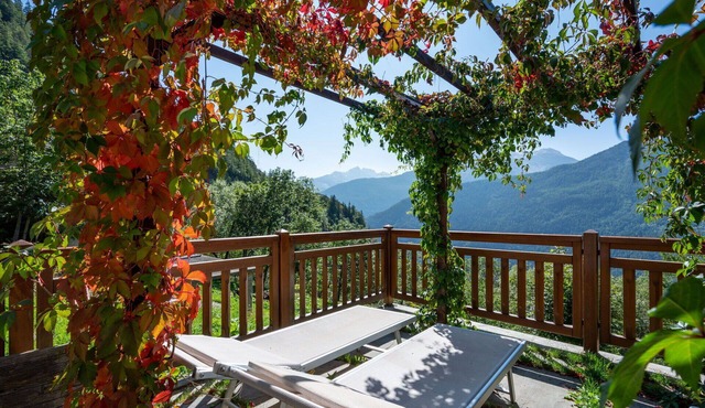 Nice apartment for 4 guests with WIFI, TV and pets allowed