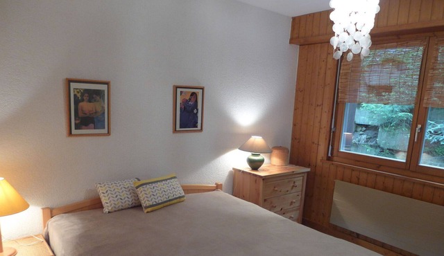 Nice apartment for 4 people with WIFI, TV, balcony, pets allowed and parking